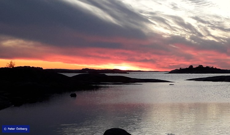 Tallinnamelonta 2018 10