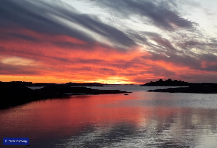 Tallinnamelonta 2018 11