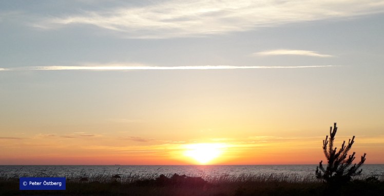 Tallinnamelonta 2018 14