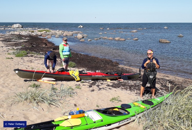 Tallinnamelonta 2018 19