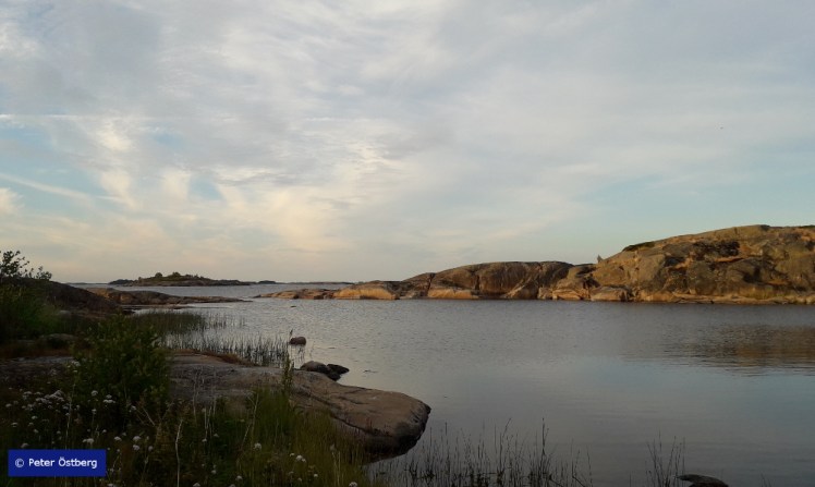 Tallinnamelonta 2018 5