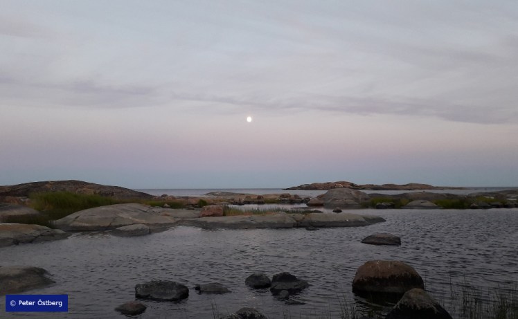 Tallinnamelonta 2018 6