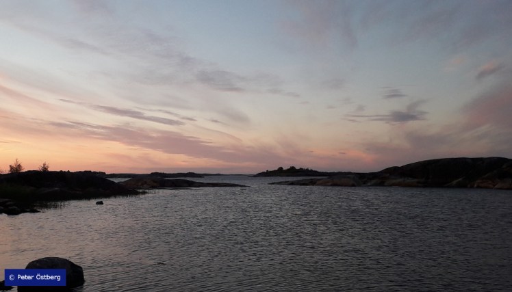 Tallinnamelonta 2018 7